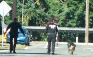 K-9 search for robber
