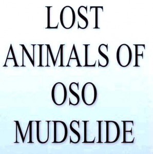 Lost animals from oso slide