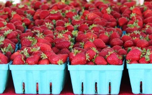 Strawberries at Everett Farmers Market