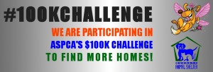 100k adoption challenge