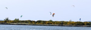 kite board 3