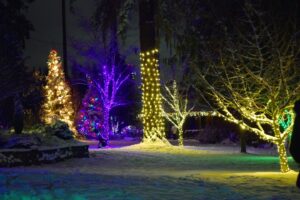 Wintertide lights