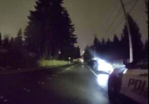 Everett Police find car thieves
